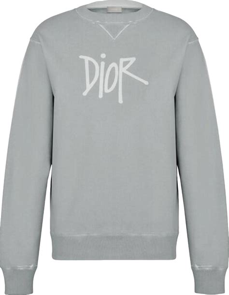 Dior x Shawn Stussy Bee Garment